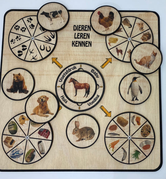 De dieren leren kennen 40 cm