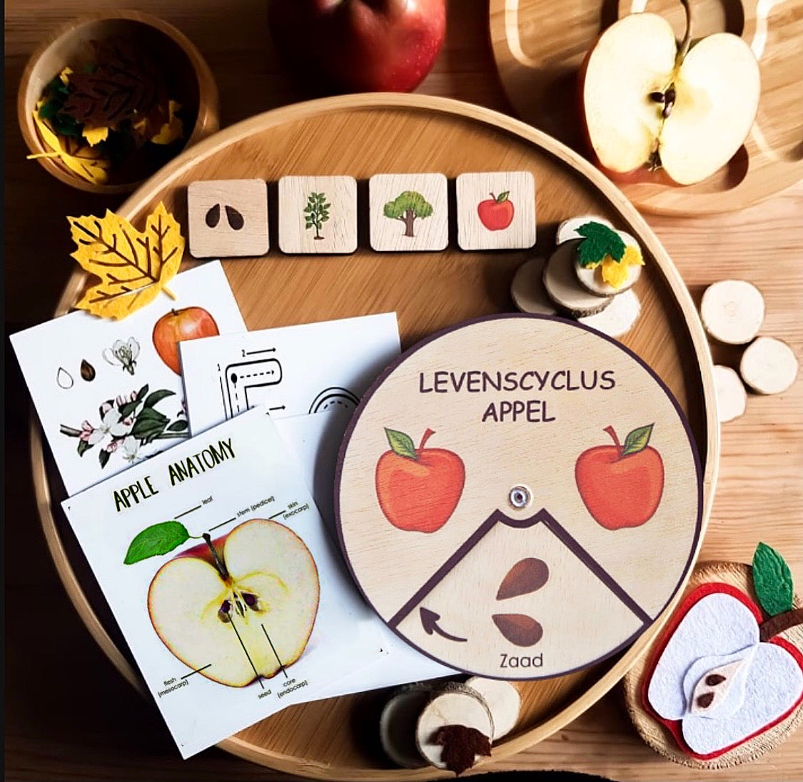 Levenscyclus appel