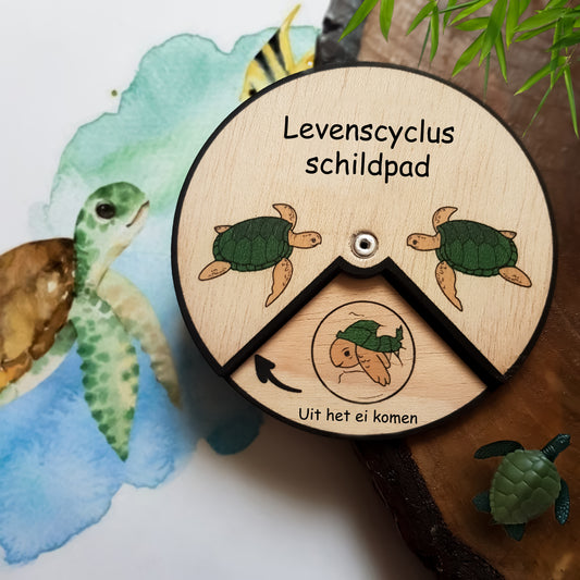 Levenscyclus schildpad